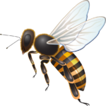 Bienenzüchterverein Bad Goisern